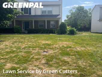 Lawn Mowing nearby Westfield, IN, 