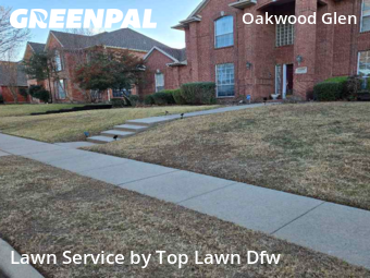 Lawn Carein Plano,75025,Yard Cutting by Top Lawn Dfw, work completed in Jan , 2026