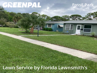 Grass Cut nearby St. Petersburg, FL, 