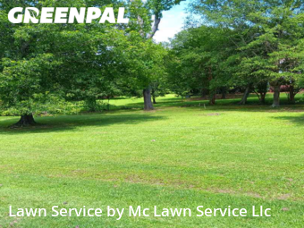 Lawn Cut nearby Madison, MS, 