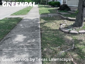 Grass Cut nearby Mc Kinney, TX, 