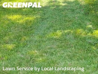 Lawn Care nearby Marion, OH, 