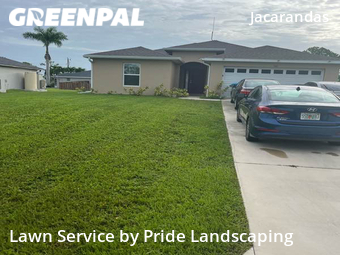 Grass Cut nearby Cape Coral, FL, 
