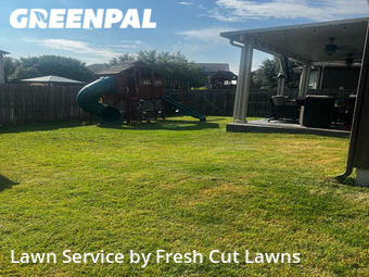 Grass Cut nearby Converse, TX, 