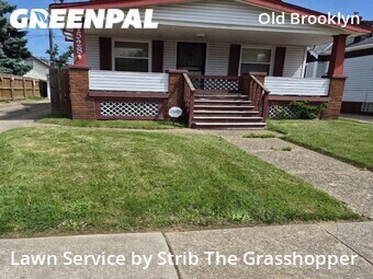 Yard Cutting nearby Cleveland, OH, 
