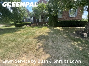 Grass Cut nearby Franklin, TN, 