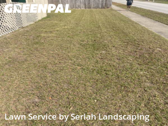 Lawn Cut nearby Longwood, FL, 