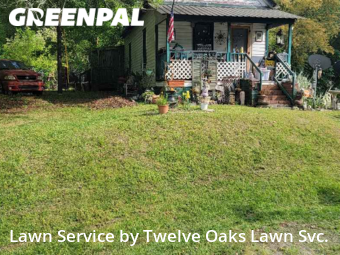 Backyard Mowing in Newnan, 30263, Yard Upkeep by Twelve Oaks Lawn Svc., work completed in Nov , 2025