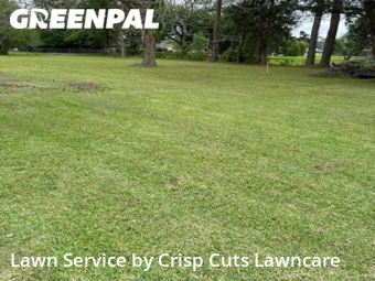 Lawn Maintenance nearby Lafayette, LA, 