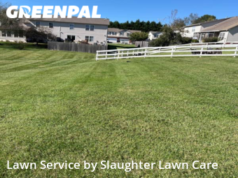 Grass Cut nearby Powell, TN, 