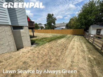 Lawn Mow nearby Ashburn, MD, 