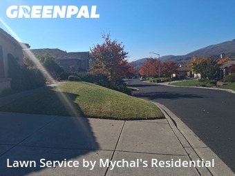 reliable-lawn-care-service-in-Woodland-CA