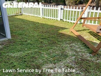 Yard Cutting nearby North Charleston, SC, 