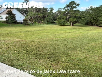 Backyard Landscaping In Tallahassee,32311,Landscaping Cleanup by Jalex Lawncare, work completed in Jun , 2026