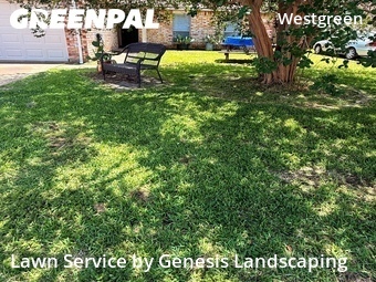 Grass Cut nearby Katy, TX, 