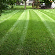 lawn-maintenance-in-Brooklyn Park-MN