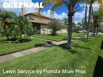 Lawn Cutting nearby Tampa, FL, 