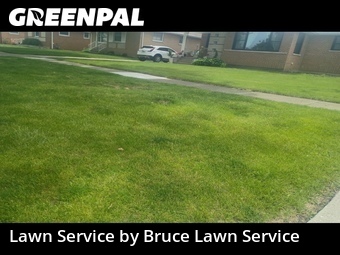 Lawn Mow nearby Westchester, IL, 