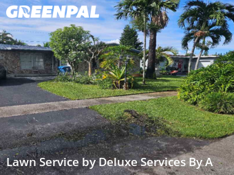 Lawn Maintenancein Sunrise,33322,Lawn Mowing by Deluxe Services By A, work completed in Dec , 2025
