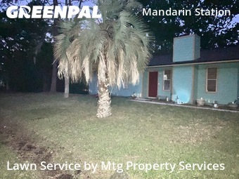 Grass Cut nearby Jacksonville, FL, 