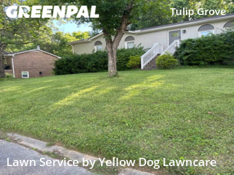 Lawn Cutting nearby Nashville, TN, 