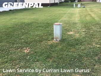 Grass Cut nearby St. Louis, IL, 