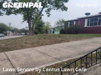 Grass Cutin San Antonio,78223,Yard Cutting by Cantus Lawn Care , work completed in Dec , 2025