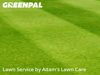 Lawn Mow nearby St. Louis, MO, 