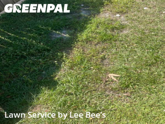 Yard Cutting nearby Orlando, FL, 