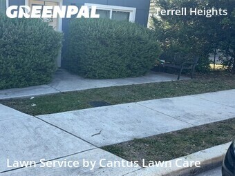 Lawn Service nearby San Antonio, TX, 
