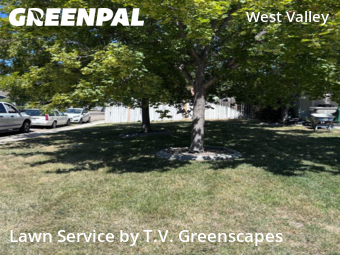 Grass Cut nearby Boise, ID, 
