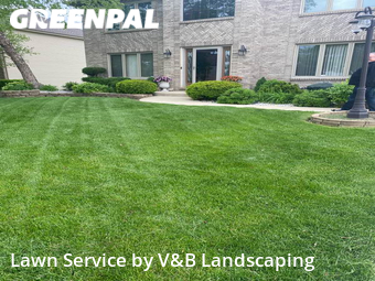 Lawn Cut nearby Naperville, IL, 