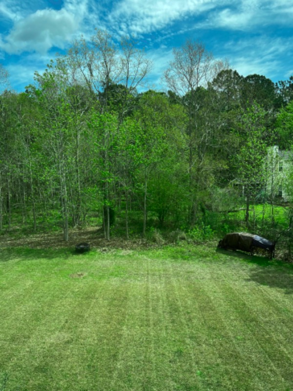 Luke Benitez Lawn Care Services in Moncks Corner, SC