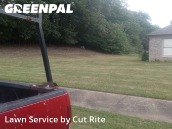 Grass Cut nearby Memphis, AR, 