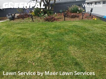Lawn Mow nearby New Haven, CT, 