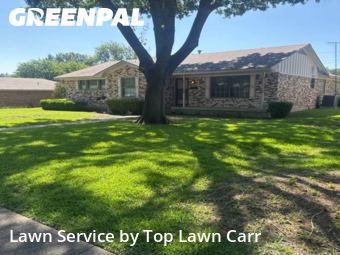 Lawn Cut nearby De Soto, TX, 