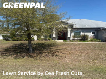 Grass Cut nearby Ocala, FL, 