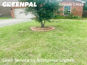 Grass Cutting nearby Pinehurst, TX, 