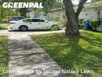Lawn Service nearby Brandon, FL, 