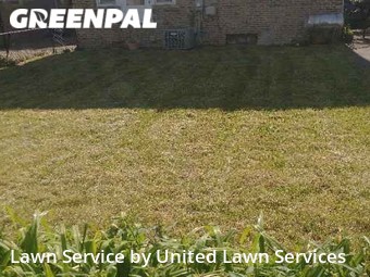 Lawn Mow nearby Chicago, IL, 
