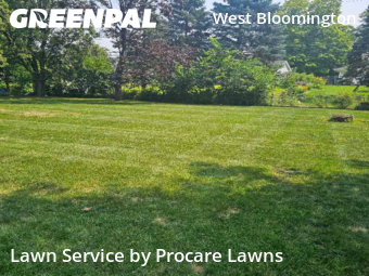 Lawn Services in Bloomington, 55431, Weekly Mowing by Procare Lawns, work completed in Oct , 2025