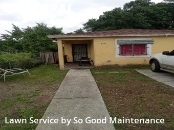 Lawn Cut nearby Miami, FL, 