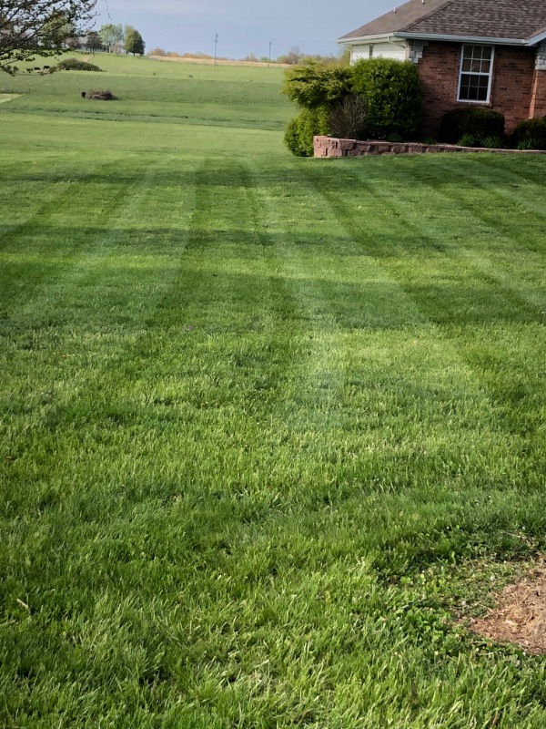 grass-cutting-businesses-in-Grand Forks-ND