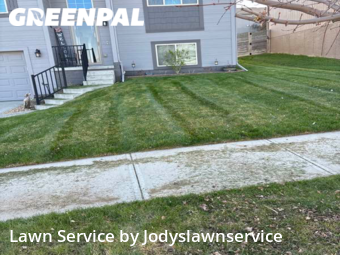 Lawn Service nearby Omaha, NE, 
