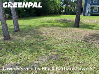 Lawn Care Service nearby Lake Worth, FL, 