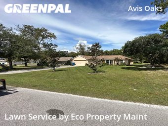 Lawn Cut nearby Spring Hill, FL, 