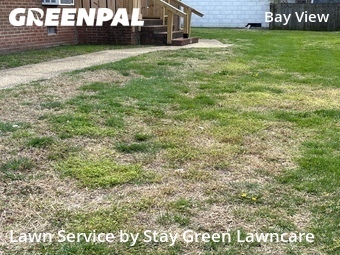 Lawn Cutting nearby Norfolk, VA, 