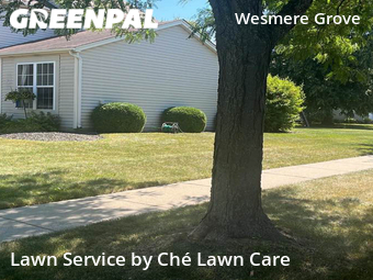 Lawn Care Service nearby Plainfield, IL, 