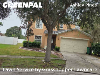 Lawn Cut nearby Wesley Chapel, FL, 