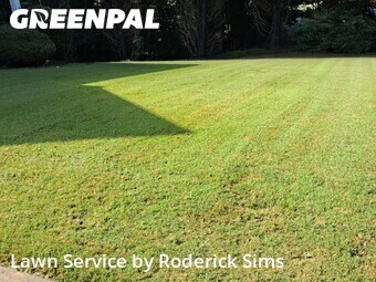 Grass Cut nearby Duluth, GA, 